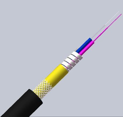 Купить LSZH Jacket 5.0mm OS2 G652D Singlemode Armored Fiber Optic Cable for Networks онлайн изготовление